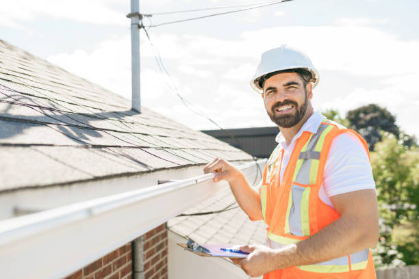 Best Roof Moss and Algae Removal  in Campbell, MO